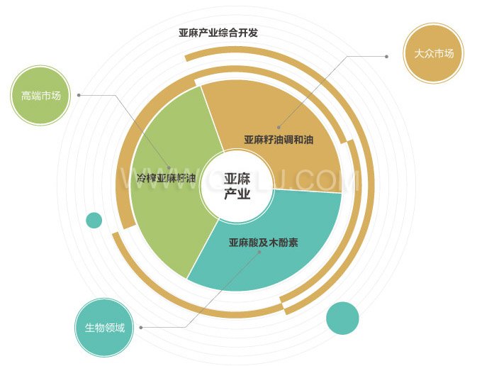 亞麻籽油成套設備(圖6)